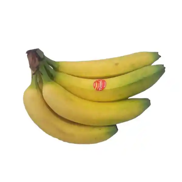 Banano Criollo Tipo 2