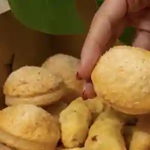 Mini gloria x 10 und