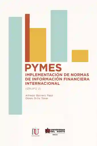 Norma Pymes Implementación De S De Información Financiera