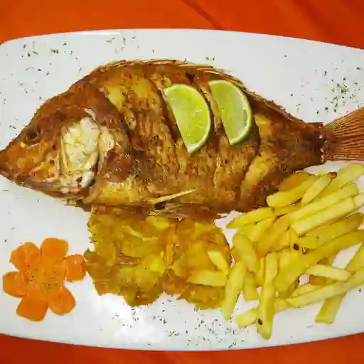 Mojarra Dorada 500 gr