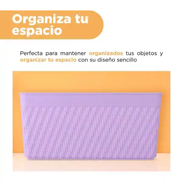 Organizador de Plástico Lila 21.3 cm S Miniso