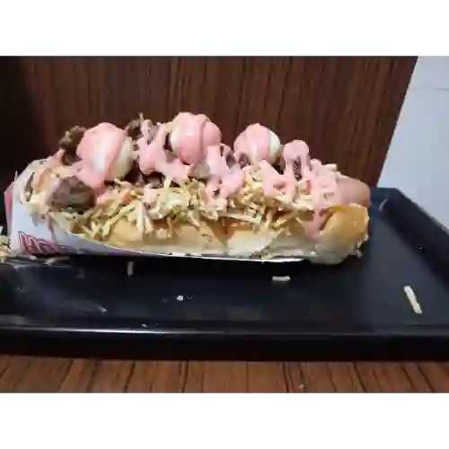 Perro Mixto