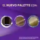 Palette Tinte Intensive Creme Rubio Claro Cenizo 8-1 100 mL