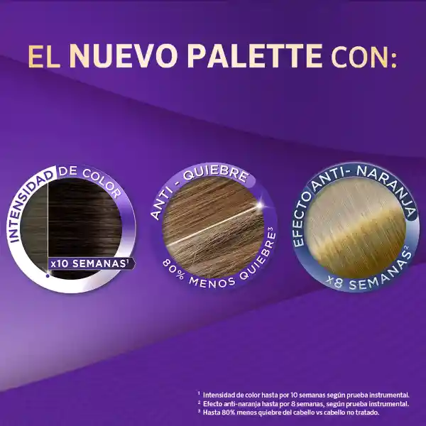 Palette Tinte Intensive Creme Rubio Claro Cenizo 8-1 100 mL