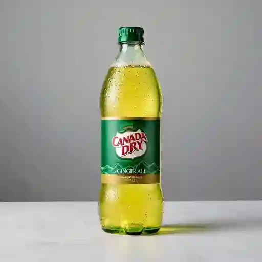Canada Dry 1.5 Litros