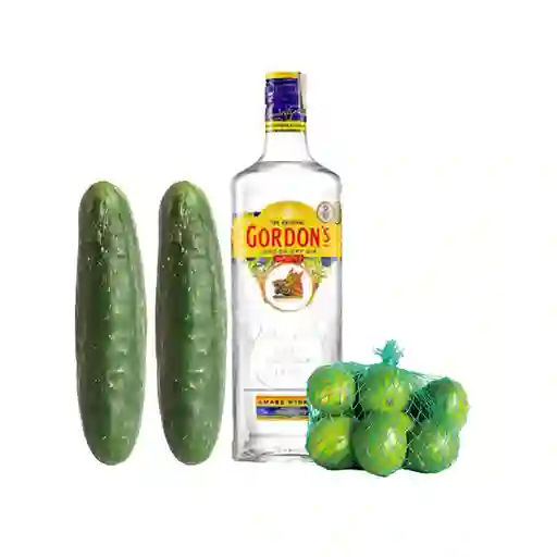 Combo Ginebra Gordons + Limón Tahití Turbo + Pepino Cohombro