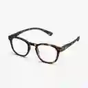 B+D Gafas Reading Dot Carey + 2.50