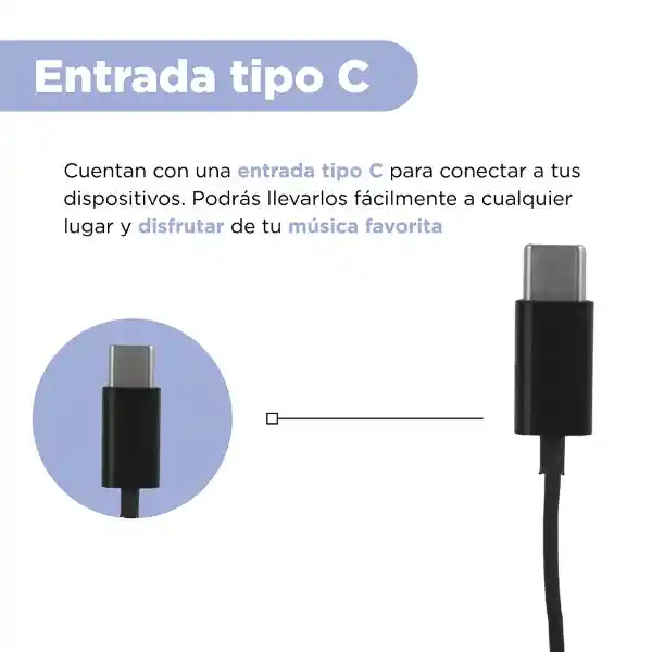 Audífonos Tipo C Micrófono Negro Mod 22E27 Miniso