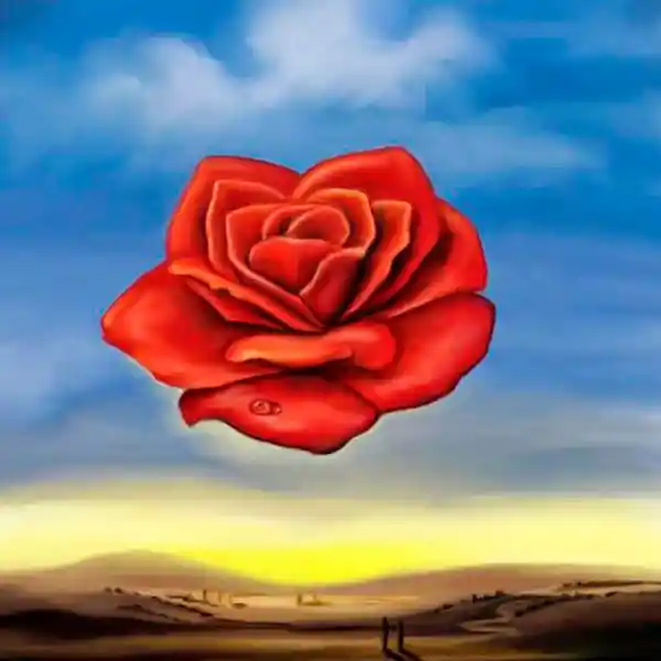 Loqi Bolsa Dali Meditative Rose