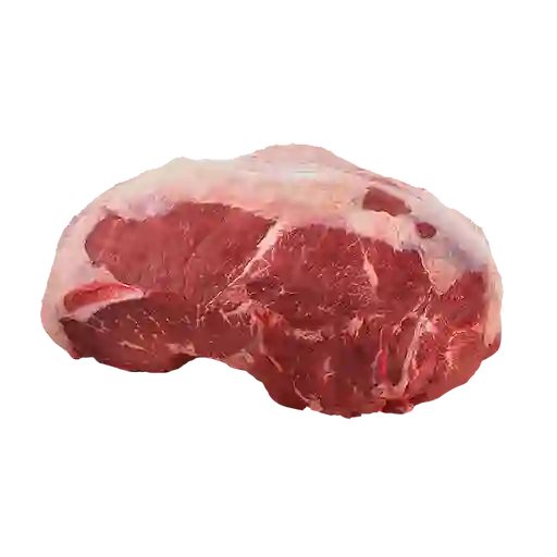 Cecina