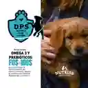 Nutriss Alimento Para Perro Adulto Salsa Carne