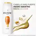 PANTENE Shampoo para cabello dañado Pantene Fuerza y Reconstrucción con Pro-vitaminas Proteínas y Aceite de Argán 200 ml