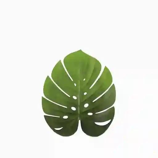 Ambiente Gourmet Individual Hoja Monstera