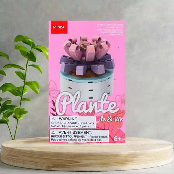 Set de Bloques Macetas Plantas Suculentas Miniso