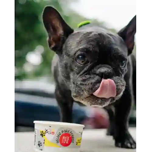 Helado de Res para Perro