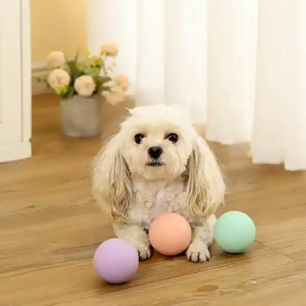 Pelota Para Mascotas de la Serie Macaron Bola Que Rebota Miniso