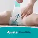 Pañales Pampers Baby Dry Etapa 7 54 U​nd