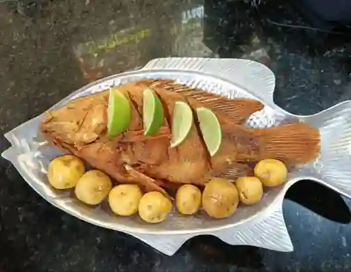 Mojarra