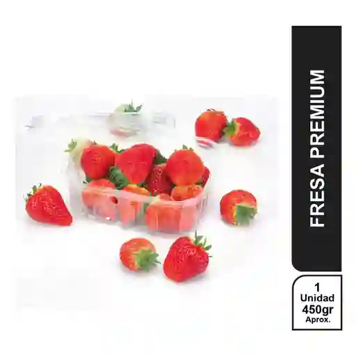 Berry House Fresa