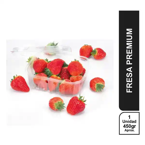 Berry House Fresa