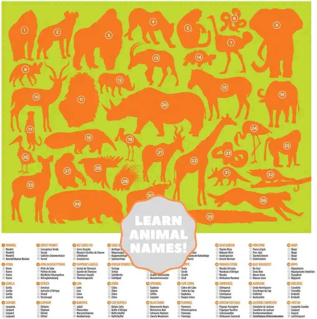 Crocodile Creek Rompecabezas 100 pc 36 Wild Animals