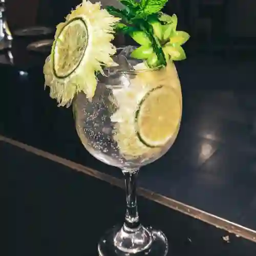 Gin Tonic