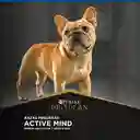 Pro Plan Alimento para Perro Adulto Active Mind