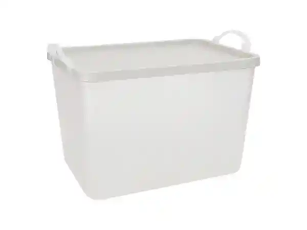 Caja Con Tapa Plástica 16 L Casaideas