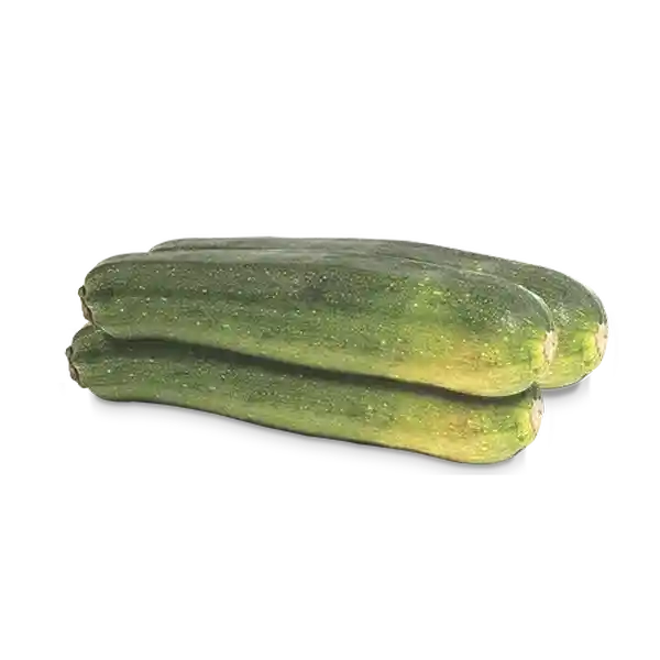 Zukini Verde