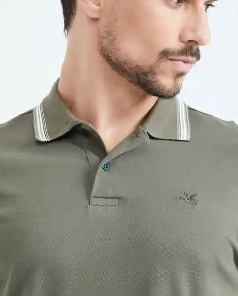 Camiseta Polo Stripes Verde Galeras Ultraoscuro T. M Chevignon