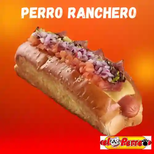 Perro Ranchero