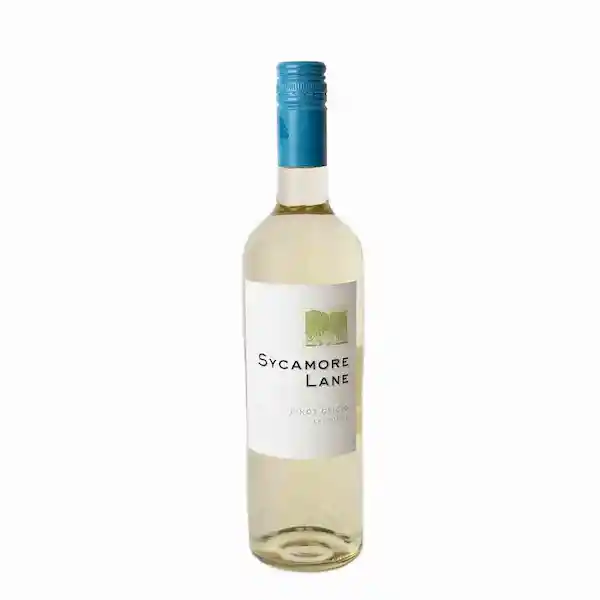 Sycamore Lane Vino Blanco Pinot Grigio