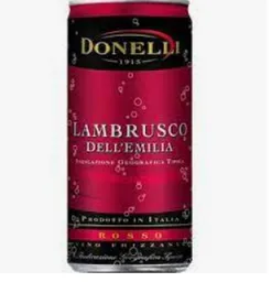 Vino Lambrusco Donelli 200ml