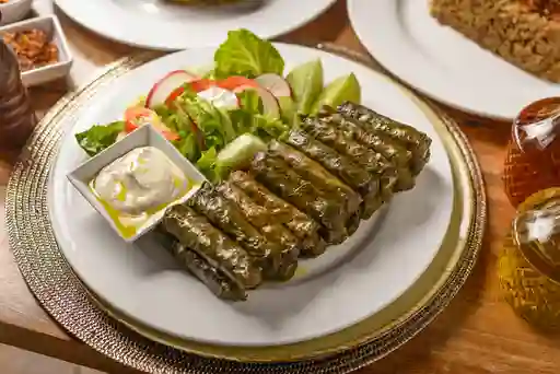 Hojas de Parra