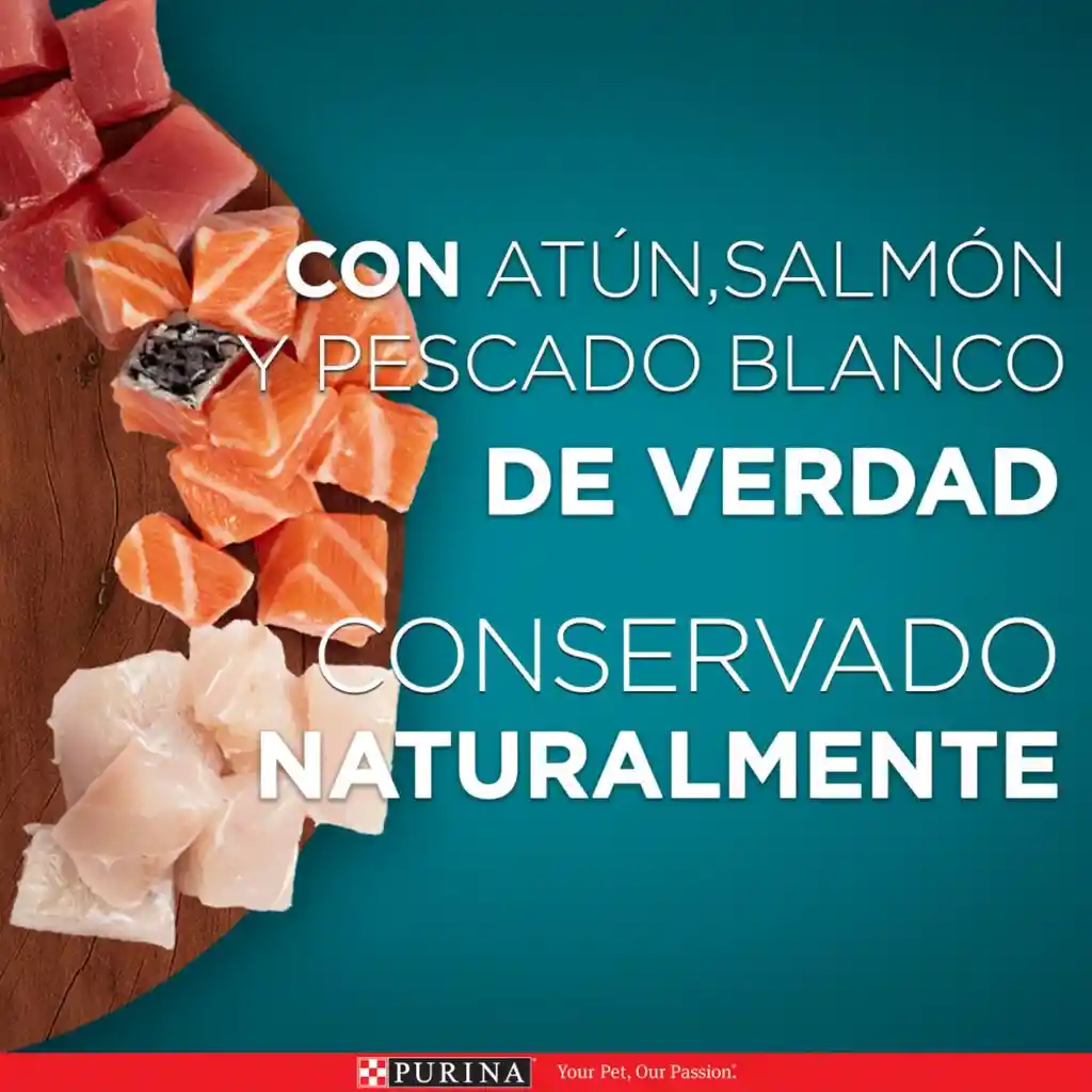 Comida para Gatitos y gatos adultos Purina One sabor a Salmón, atún y pescado blanco x 85gr