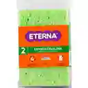 Eterna Fibra Esponja Verde Celulosa