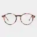 Barner Gafas Reading Marais Ros Carey + 1.50