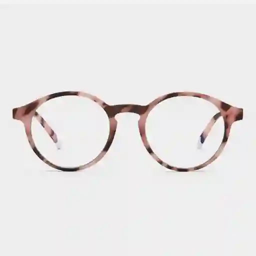 Barner Gafas Reading Marais Ros Carey + 1.50