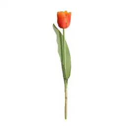 Tulipan Gio Home Mediano Naranja