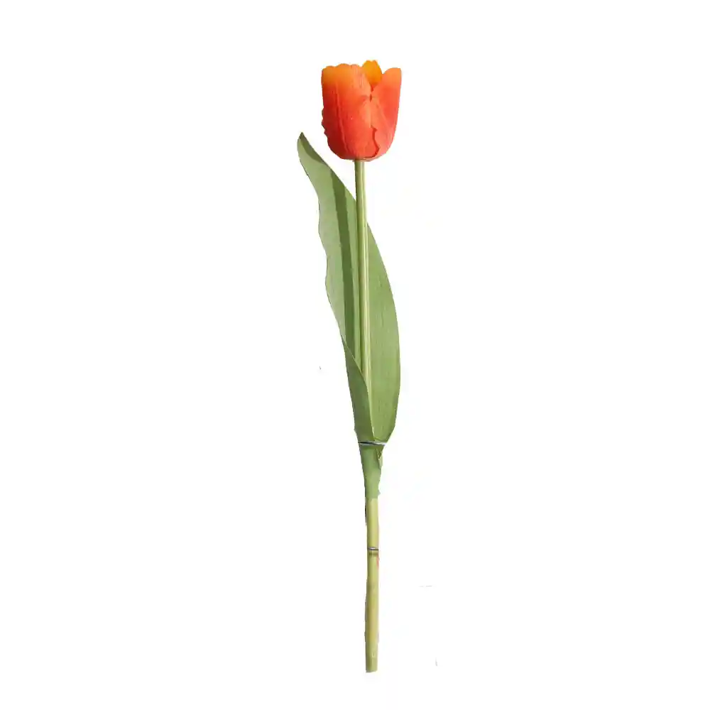 Tulipan Gio Home Mediano Naranja