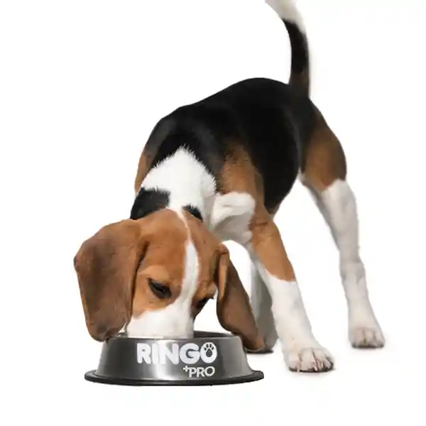 Ringo Alimento para Perro Cachorro Pro
