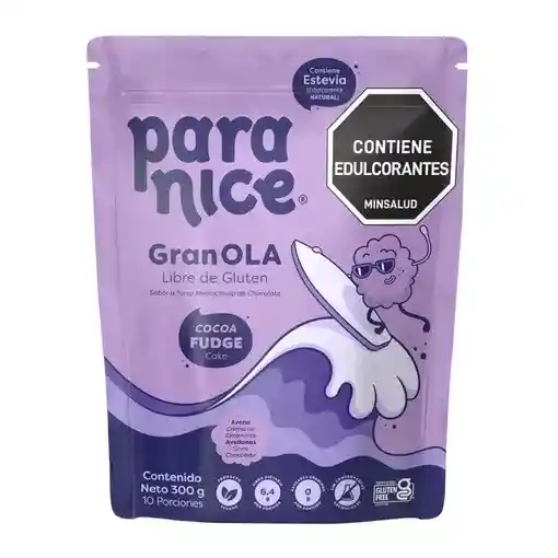 Granola Cocoa Fudge Cake - Paranice