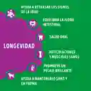 Comida para perro Dog Chow mayores a 7 años (Senior Longevidad) x 8 kg