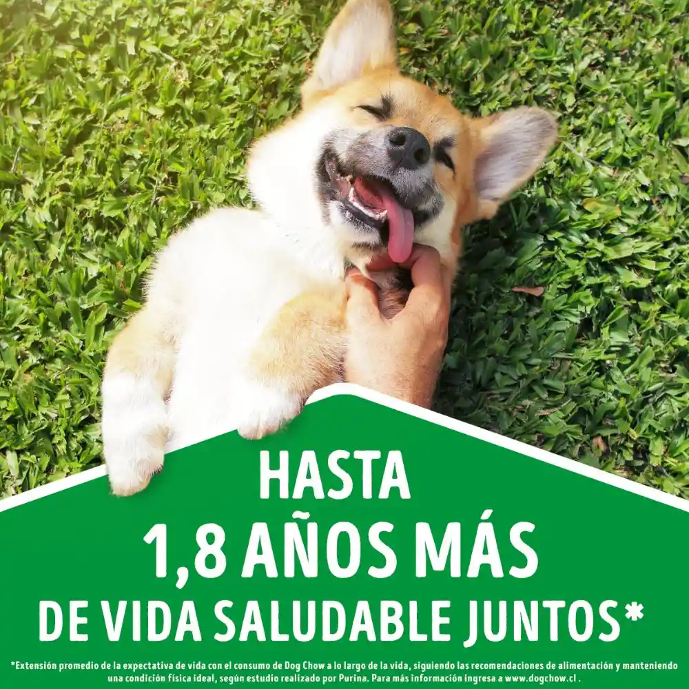 Comida para perro Dog Chow Adulto minis y pequeños x 17 kg