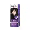 Tinte Palette Color Creme 1-0 Negro