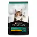 Comida para Gatitos Purina Pro Plan x 7,5 kg