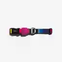 Zee.Dog Collar Para Perro Prisma XS