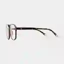 Barner Gafas Screen Brad Carey + 0.00