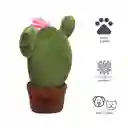 Miniso Peluche Para Mascota Cactus