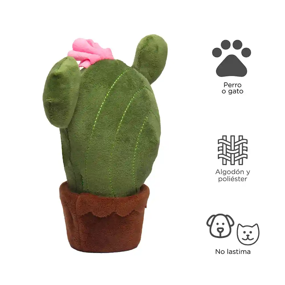 Miniso Peluche Para Mascota Cactus